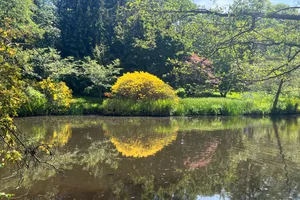 Read Savill Garden Savill Garden